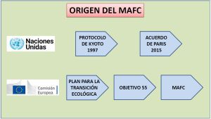 Origen del MAFC