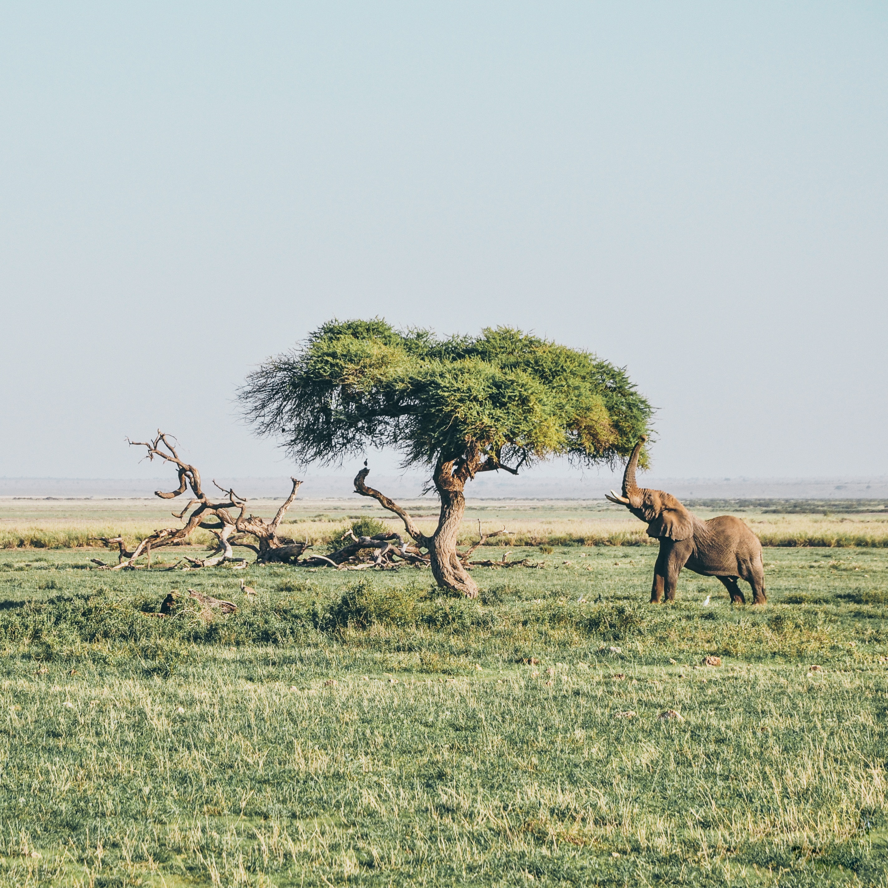 Africa de los negocios