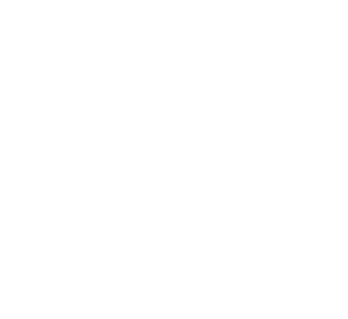 vigilancer_boletin vigilancer_boletin