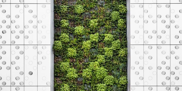 nbs sostenible naturaleza soluciones